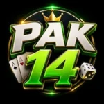 Screenshot of PAK 14 Game APK Image
