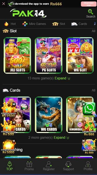 PAK 14 Game APK